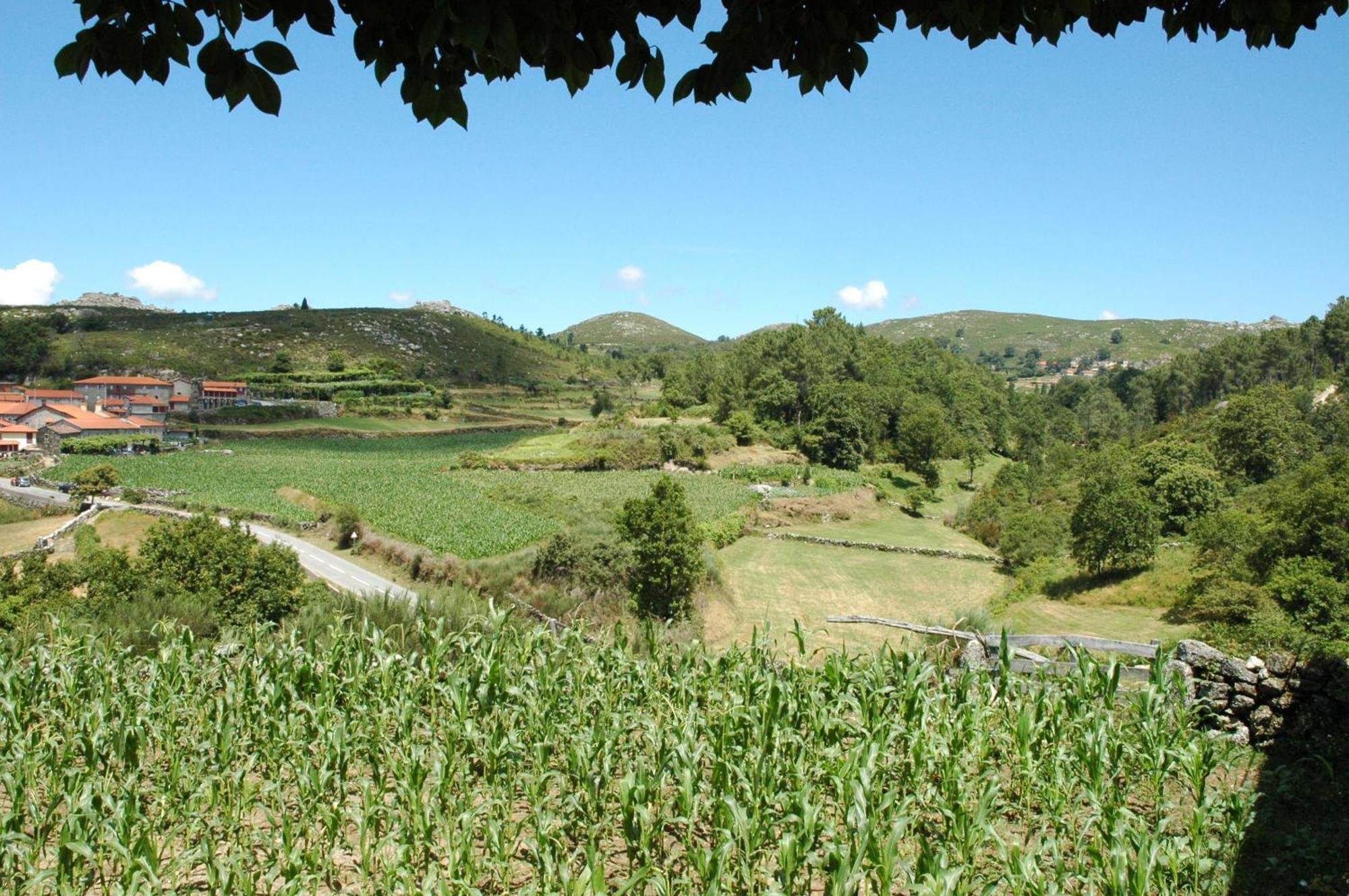 Casa De Campo Monte Abades Terras de Bouro Esterno foto